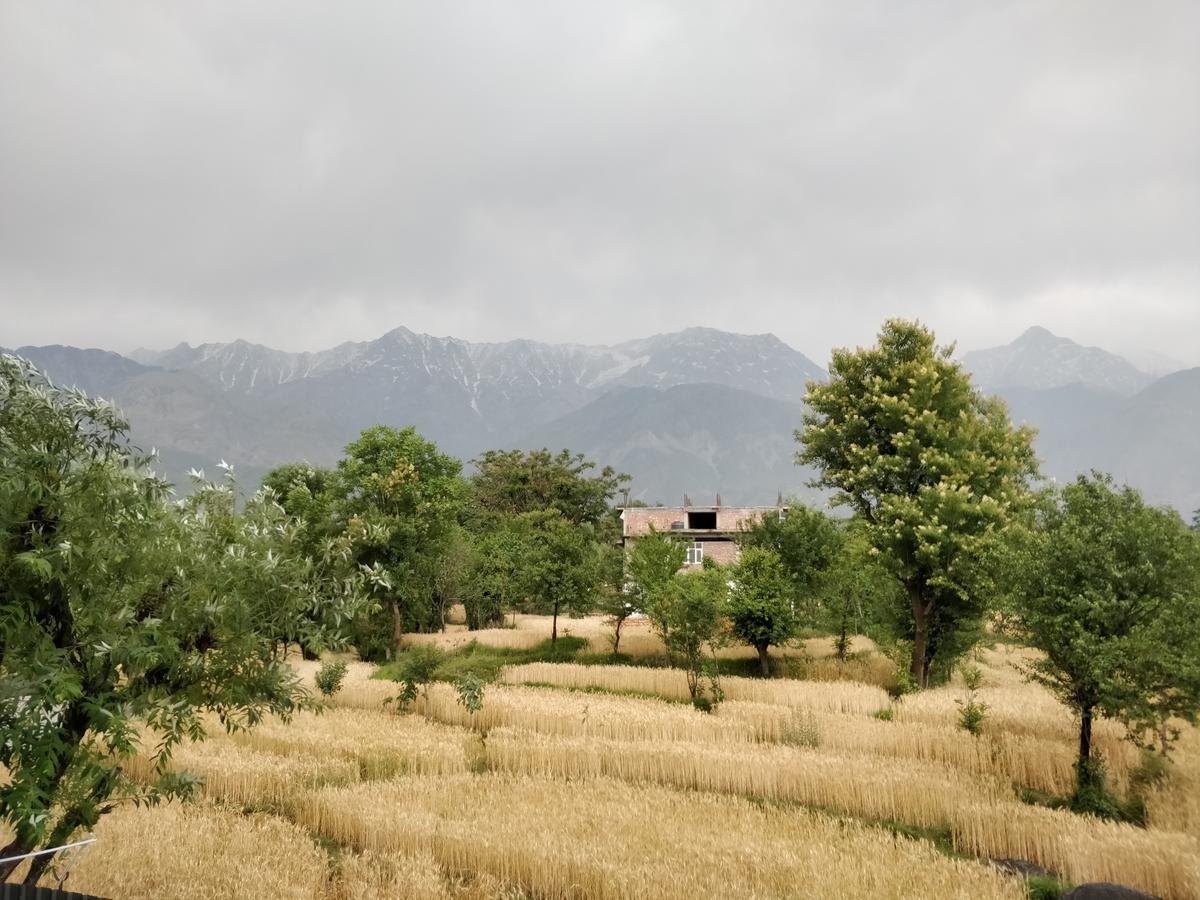 D'Polo Club & Spa Resort Dharamshala Bagian luar foto