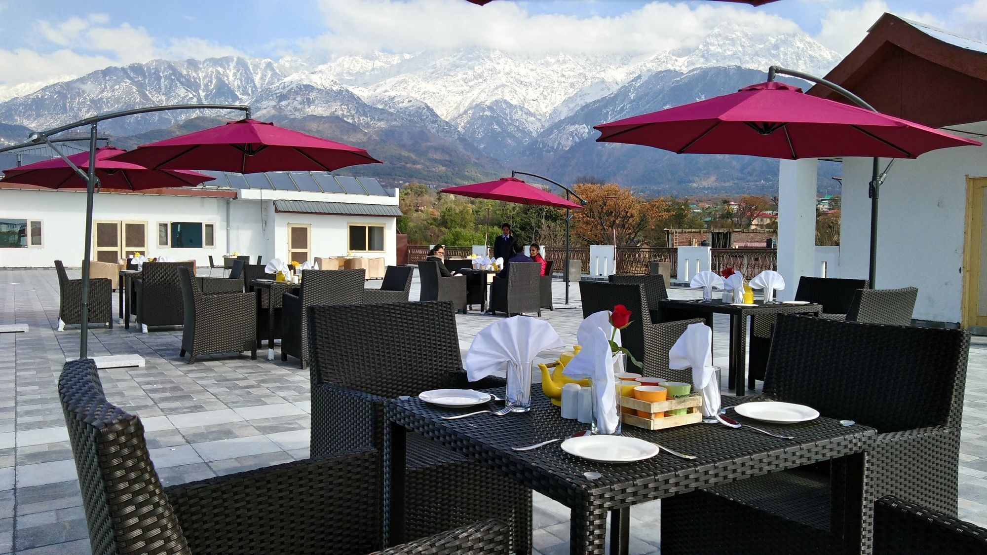 D'Polo Club & Spa Resort Dharamshala Bagian luar foto