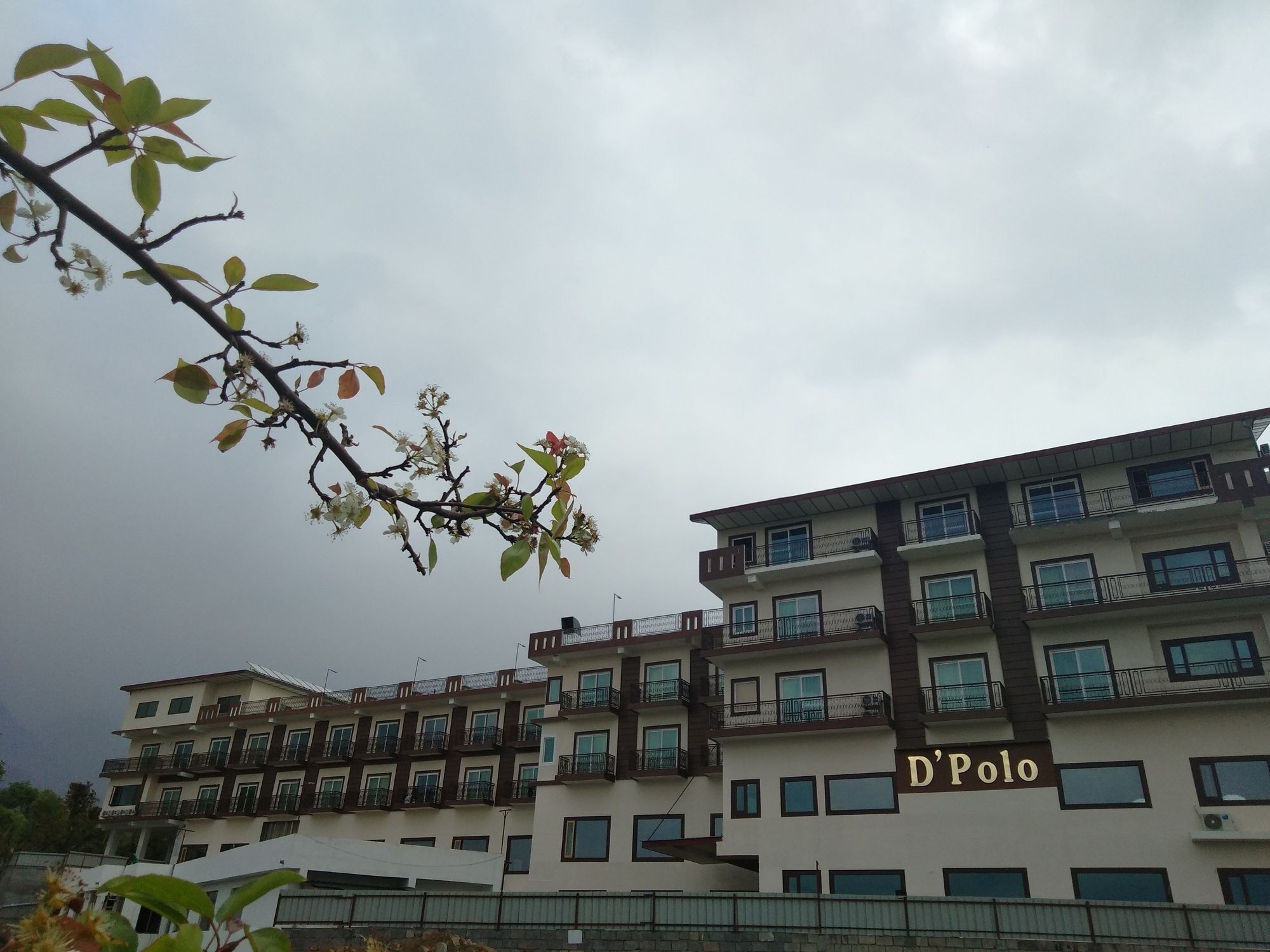 D'Polo Club & Spa Resort Dharamshala Bagian luar foto